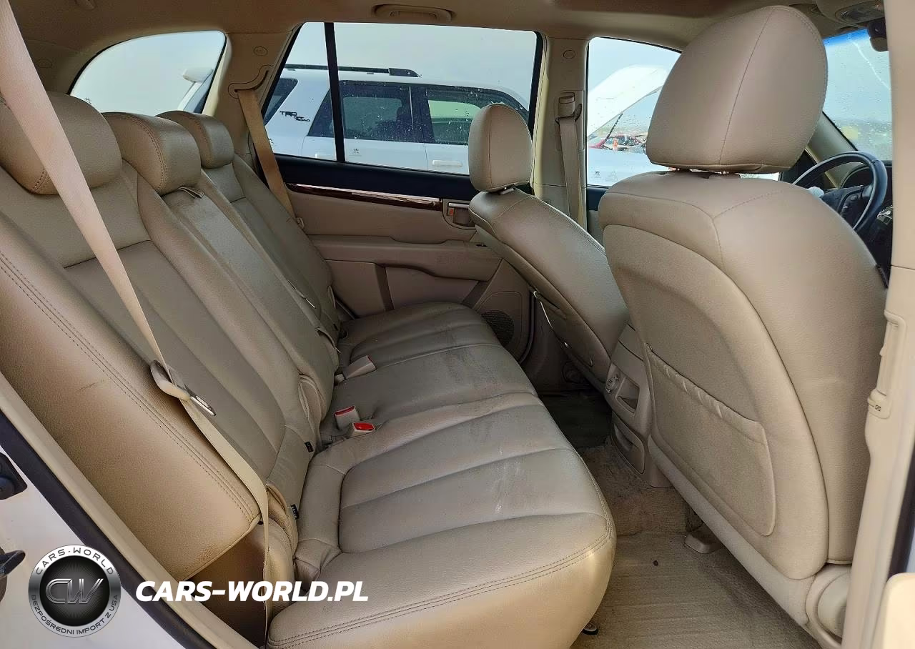 2007 Hyundai Santa Fe Se VIN:5NMSH13E07H086533 - 10