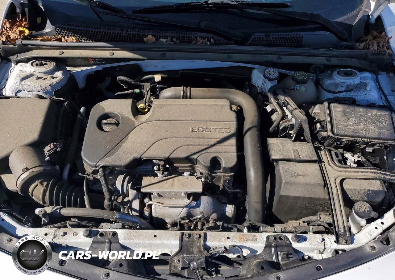 2023 Chevrolet Malibu Ls VIN:1G1ZC5ST9PF159781 - 11