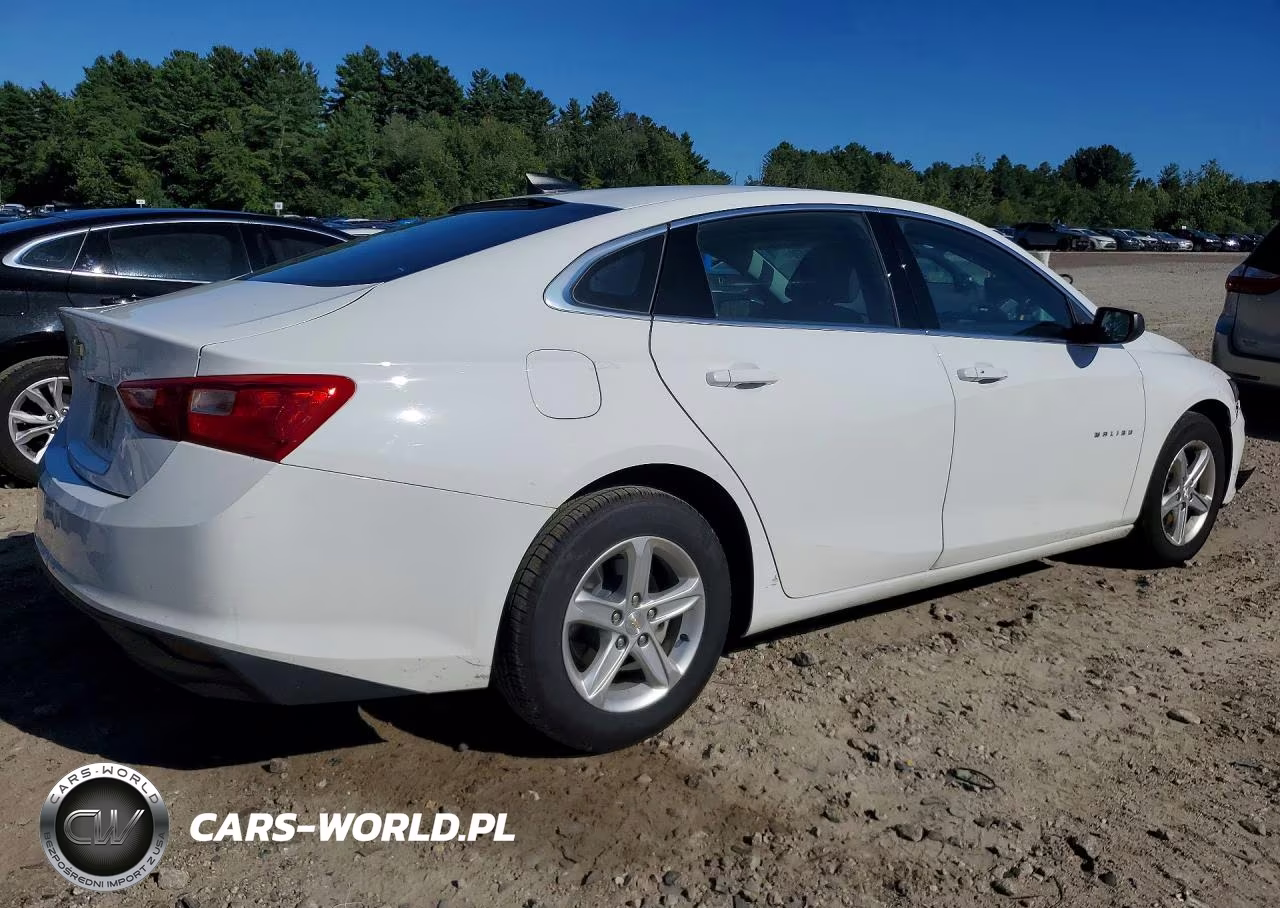 2023 Chevrolet Malibu Ls VIN:1G1ZC5ST9PF159781 - 3