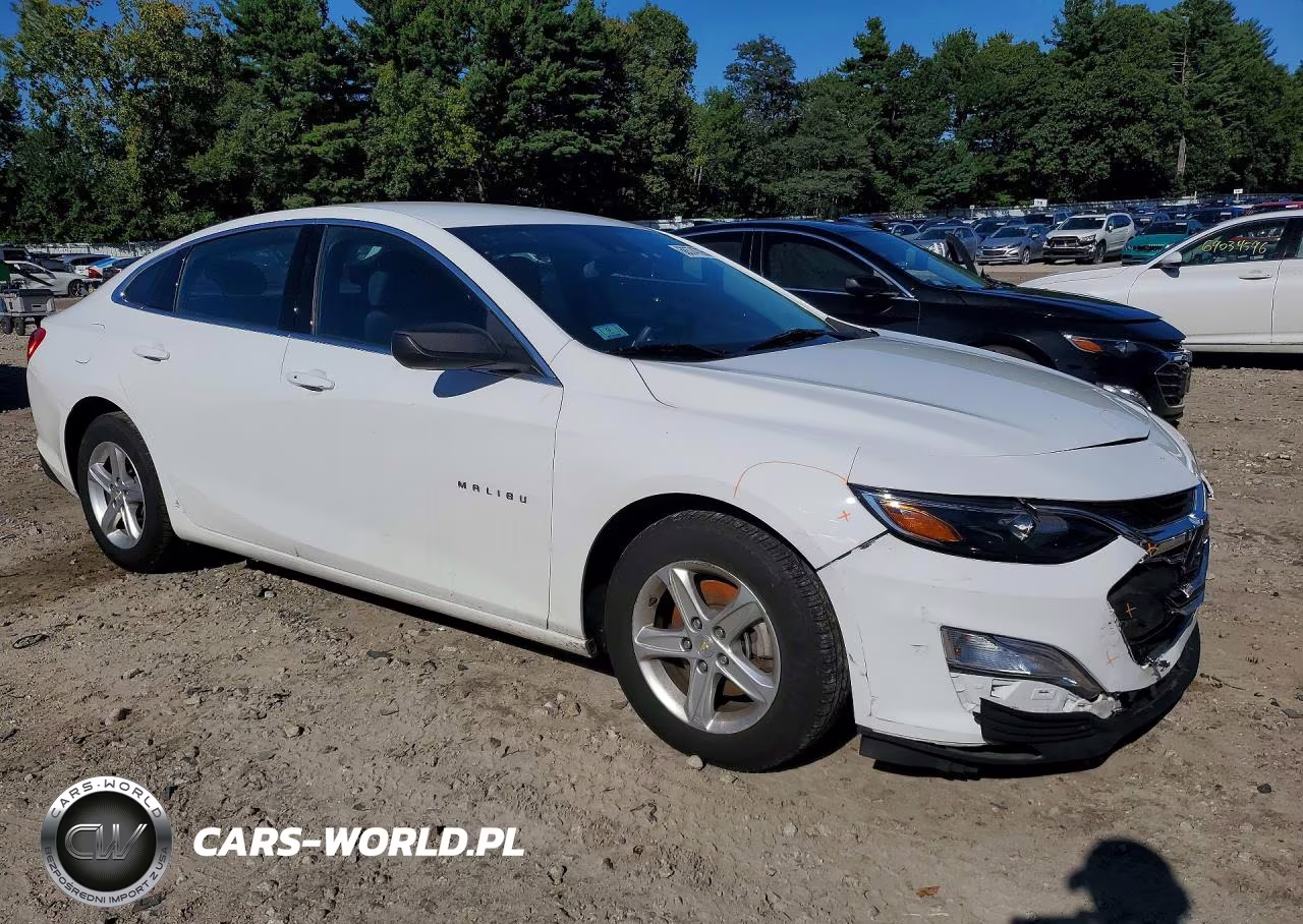 2023 Chevrolet Malibu Ls VIN:1G1ZC5ST9PF159781 - 4