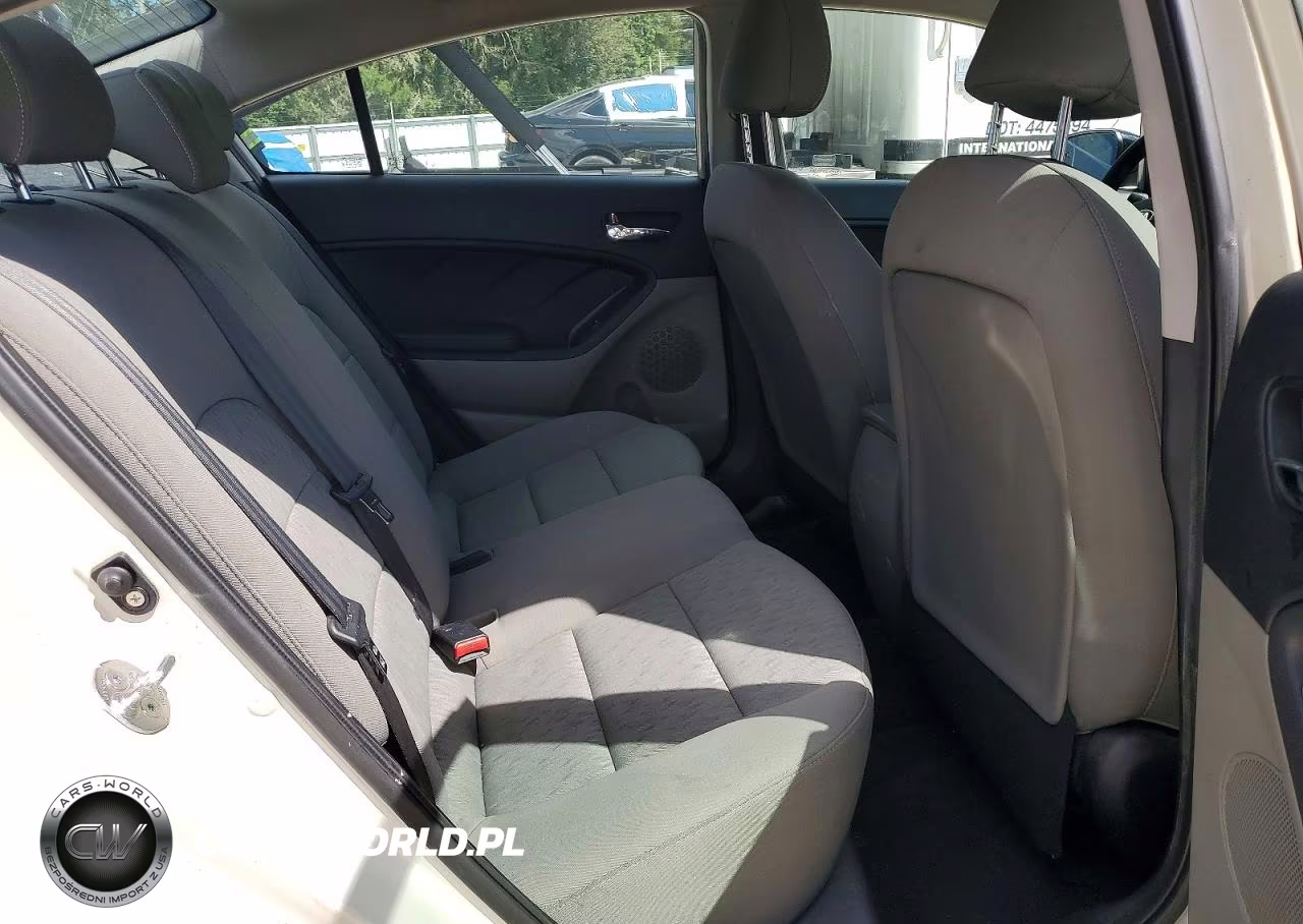 2014 Kia Forte Lx VIN:KNAFK4A60E5190873 - 10