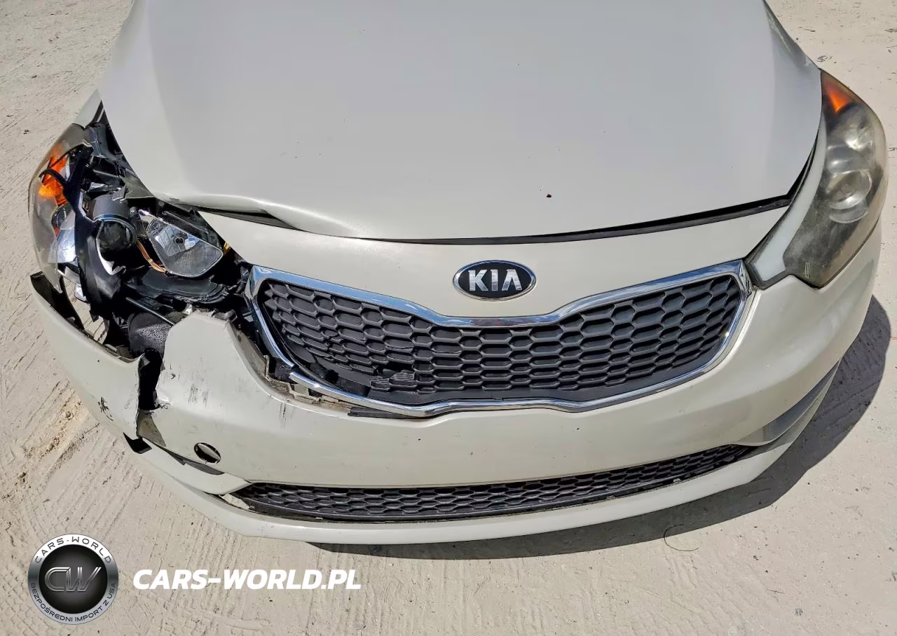 2014 Kia Forte Lx VIN:KNAFK4A60E5190873 - 11