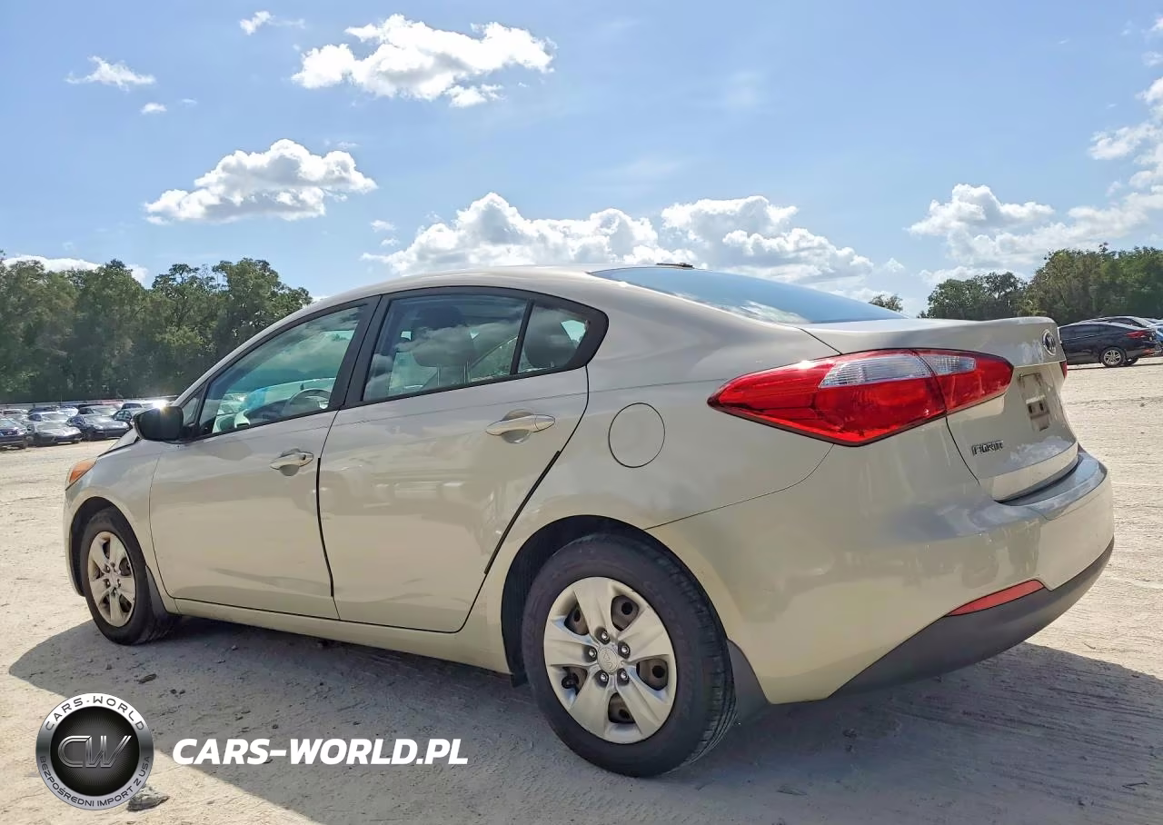 2014 Kia Forte Lx VIN:KNAFK4A60E5190873 - 2