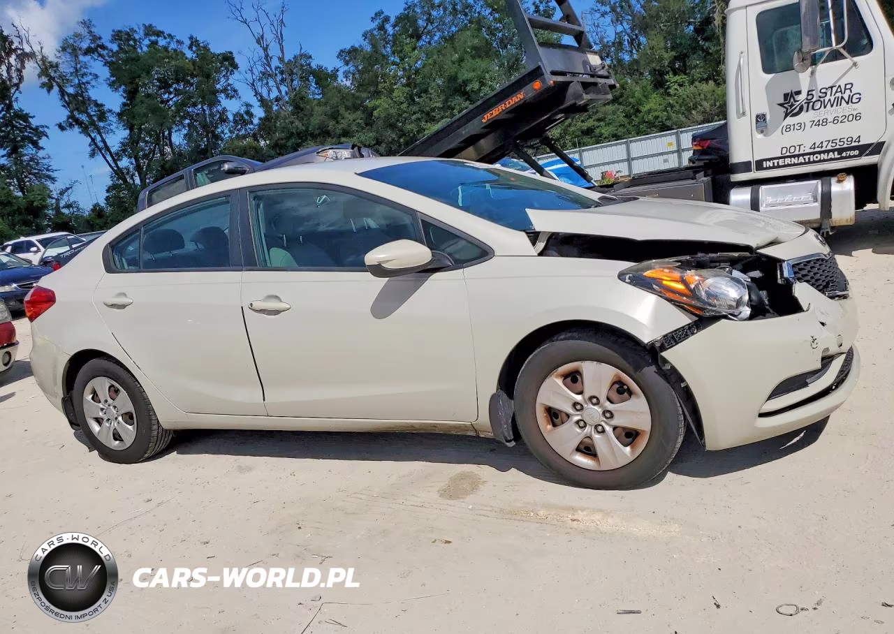 2014 Kia Forte Lx VIN:KNAFK4A60E5190873 - 4