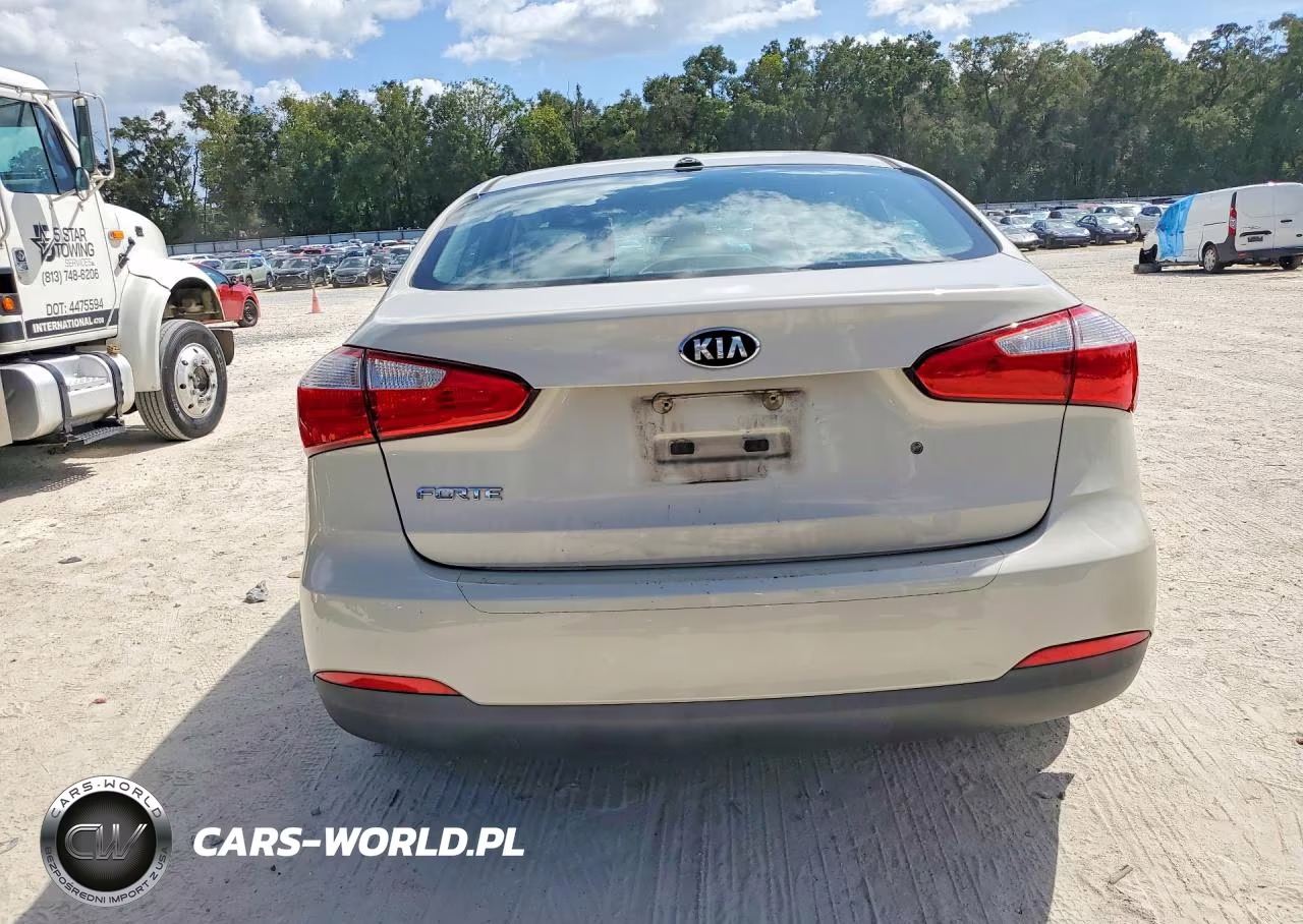 2014 Kia Forte Lx VIN:KNAFK4A60E5190873 - 6