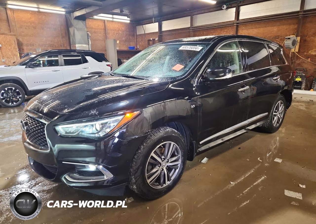 2019 Infiniti Qx60 Pure VIN:5N1DL0MM3KC531342 - 1