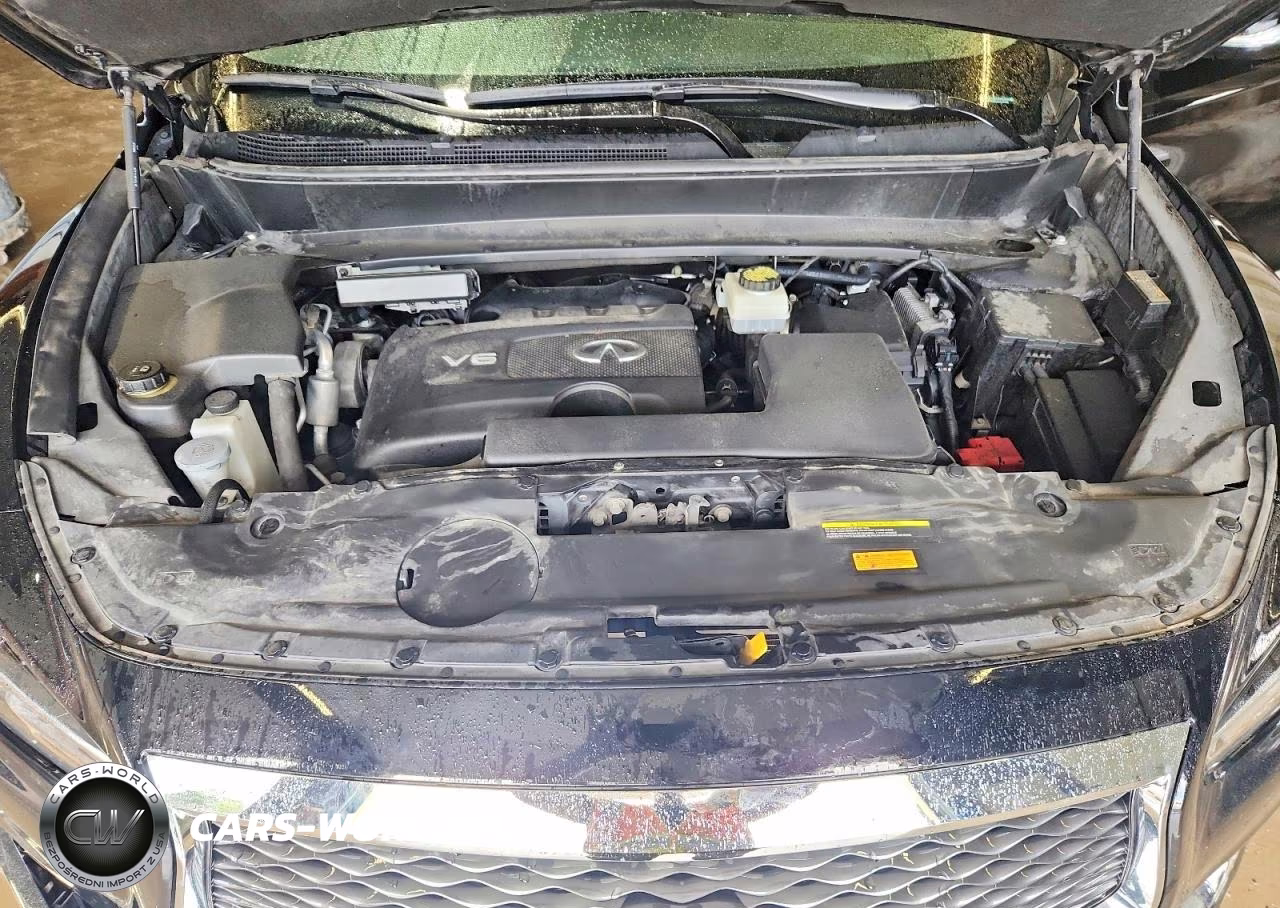 2019 Infiniti Qx60 Pure VIN:5N1DL0MM3KC531342 - 12