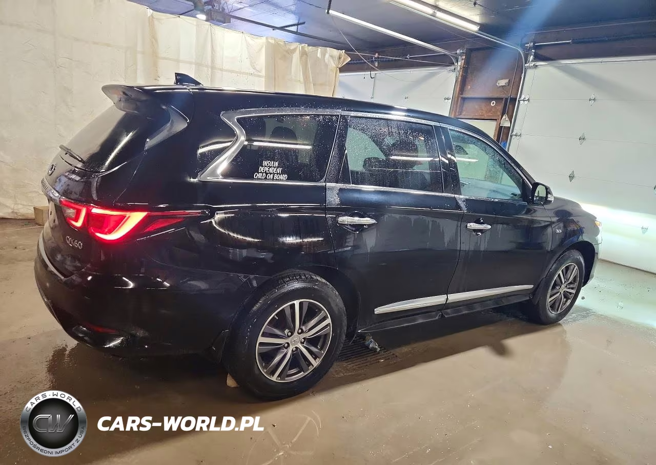 2019 Infiniti Qx60 Pure VIN:5N1DL0MM3KC531342 - 3