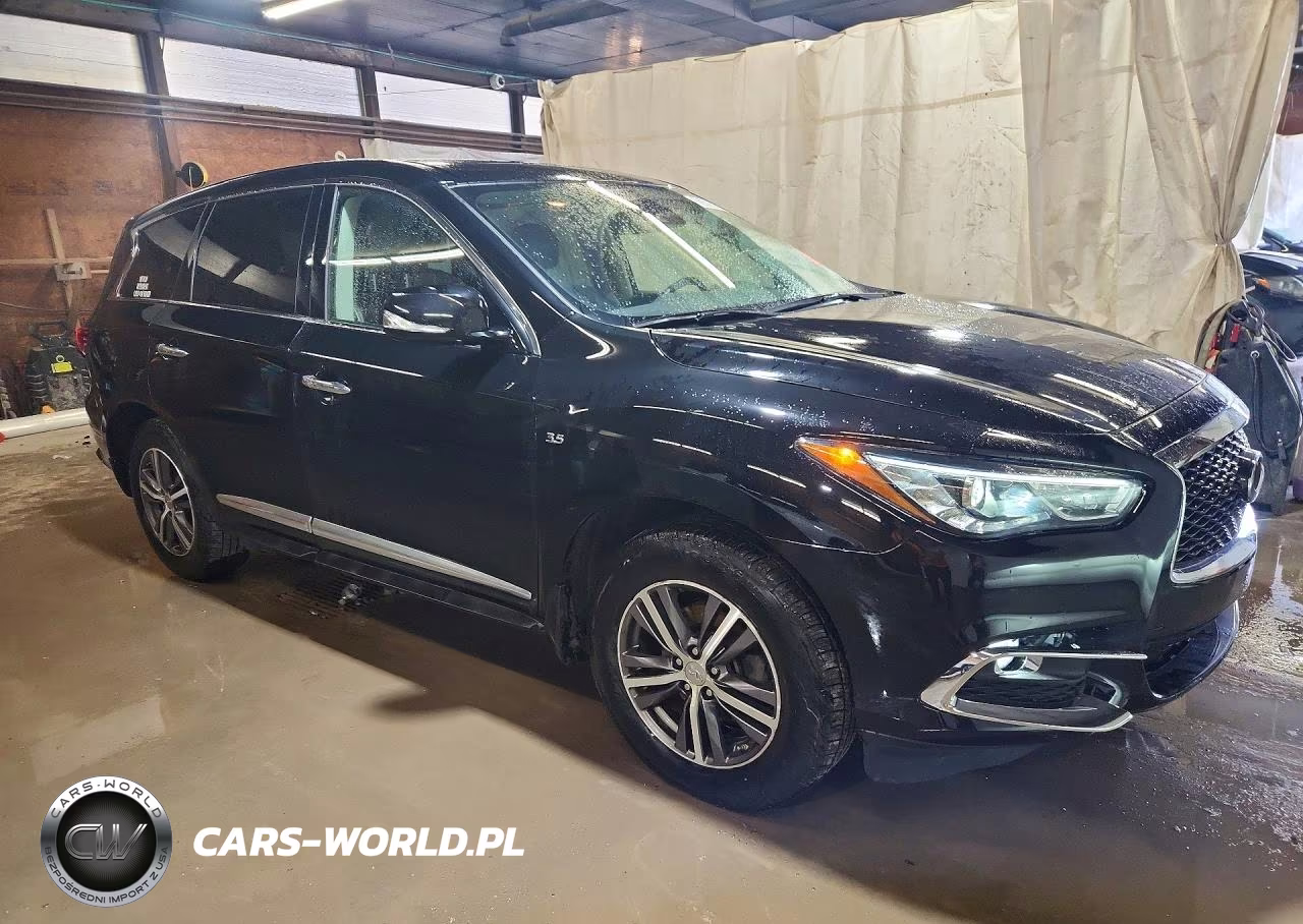 2019 Infiniti Qx60 Pure VIN:5N1DL0MM3KC531342 - 4