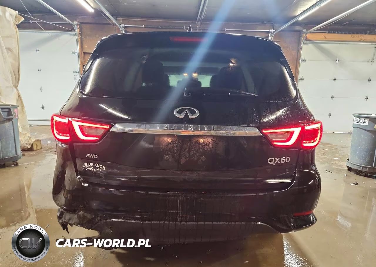 2019 Infiniti Qx60 Pure VIN:5N1DL0MM3KC531342 - 6