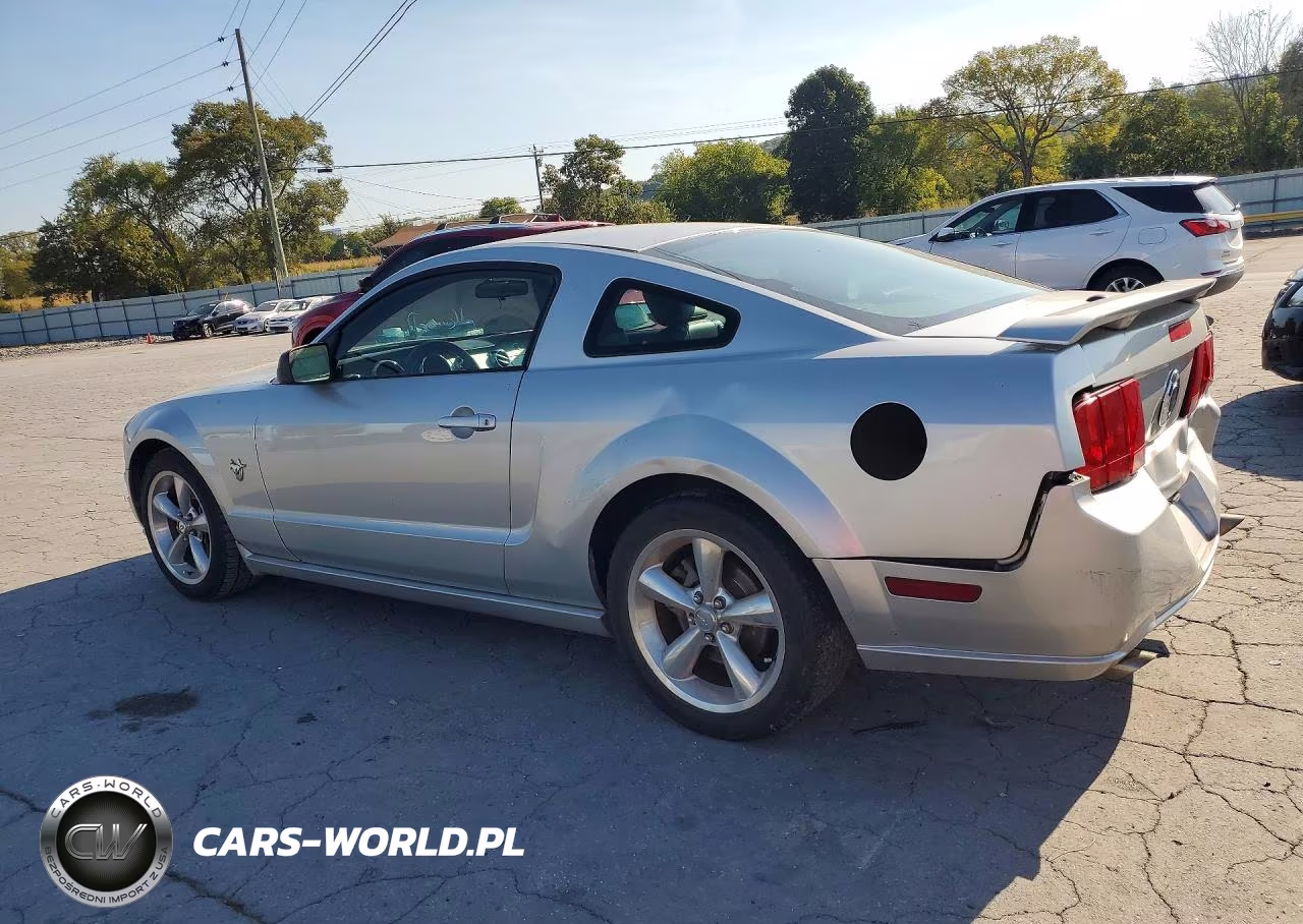 2009 Ford Mustang Gt VIN:1ZVHT82H695123942 - 2