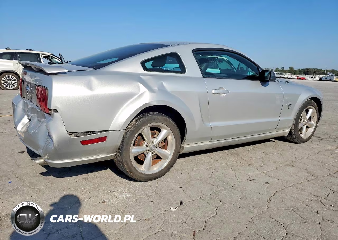 2009 Ford Mustang Gt VIN:1ZVHT82H695123942 - 3