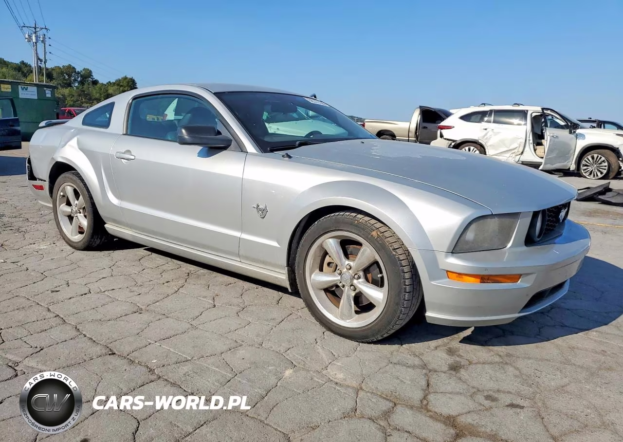2009 Ford Mustang Gt VIN:1ZVHT82H695123942 - 4