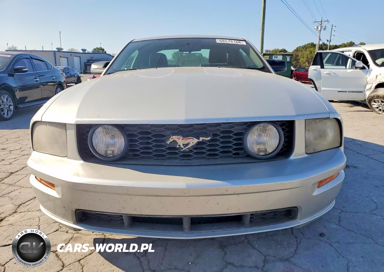2009 Ford Mustang Gt VIN:1ZVHT82H695123942 - 5