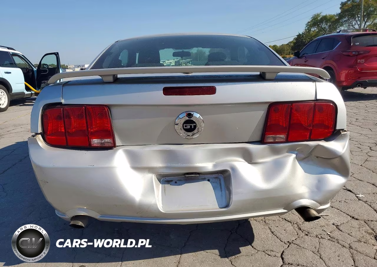 2009 Ford Mustang Gt VIN:1ZVHT82H695123942 - 6