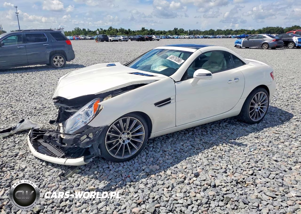 2014 Mercedes-Benz Slk 250