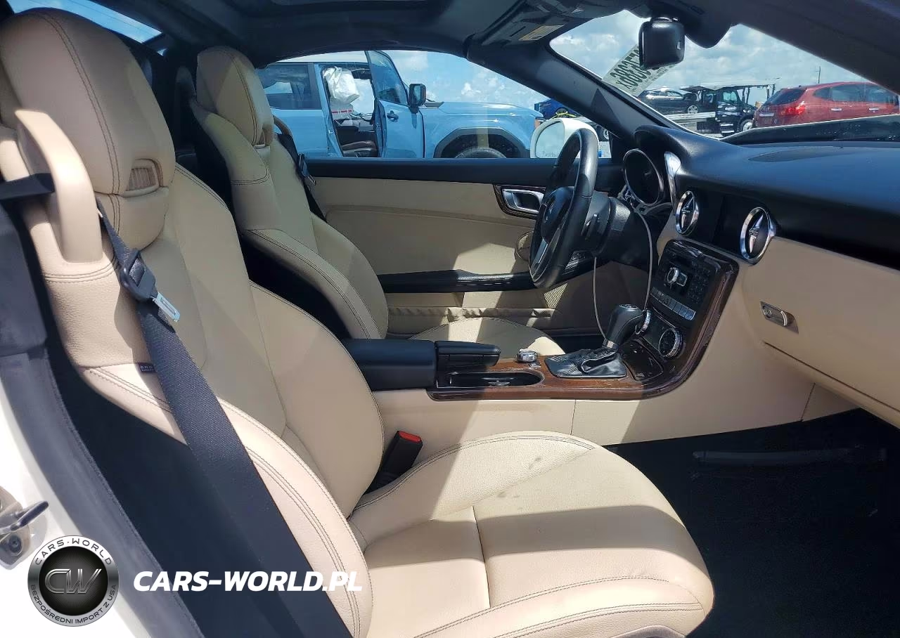 2014 Mercedes-Benz Slk 250 VIN:WDDPK4HA2EF081137 - 10