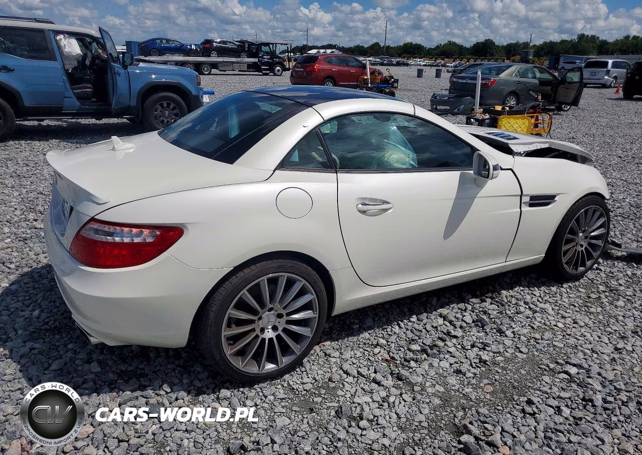 2014 Mercedes-Benz Slk 250 VIN:WDDPK4HA2EF081137 - 3