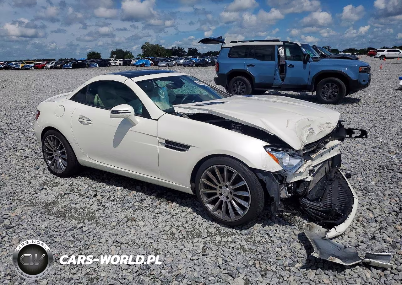 2014 Mercedes-Benz Slk 250 VIN:WDDPK4HA2EF081137 - 4
