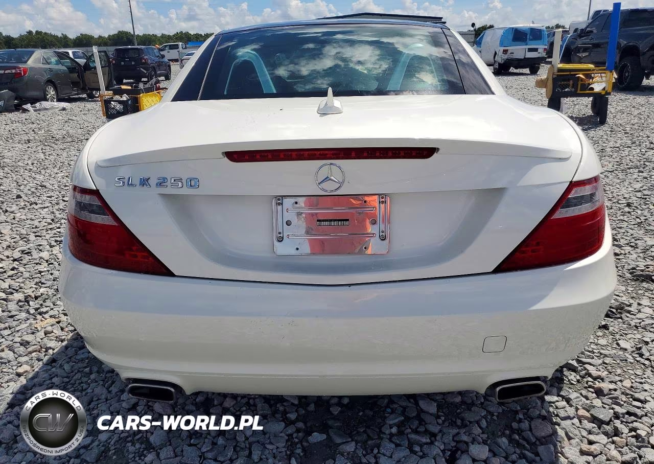 2014 Mercedes-Benz Slk 250 VIN:WDDPK4HA2EF081137 - 6