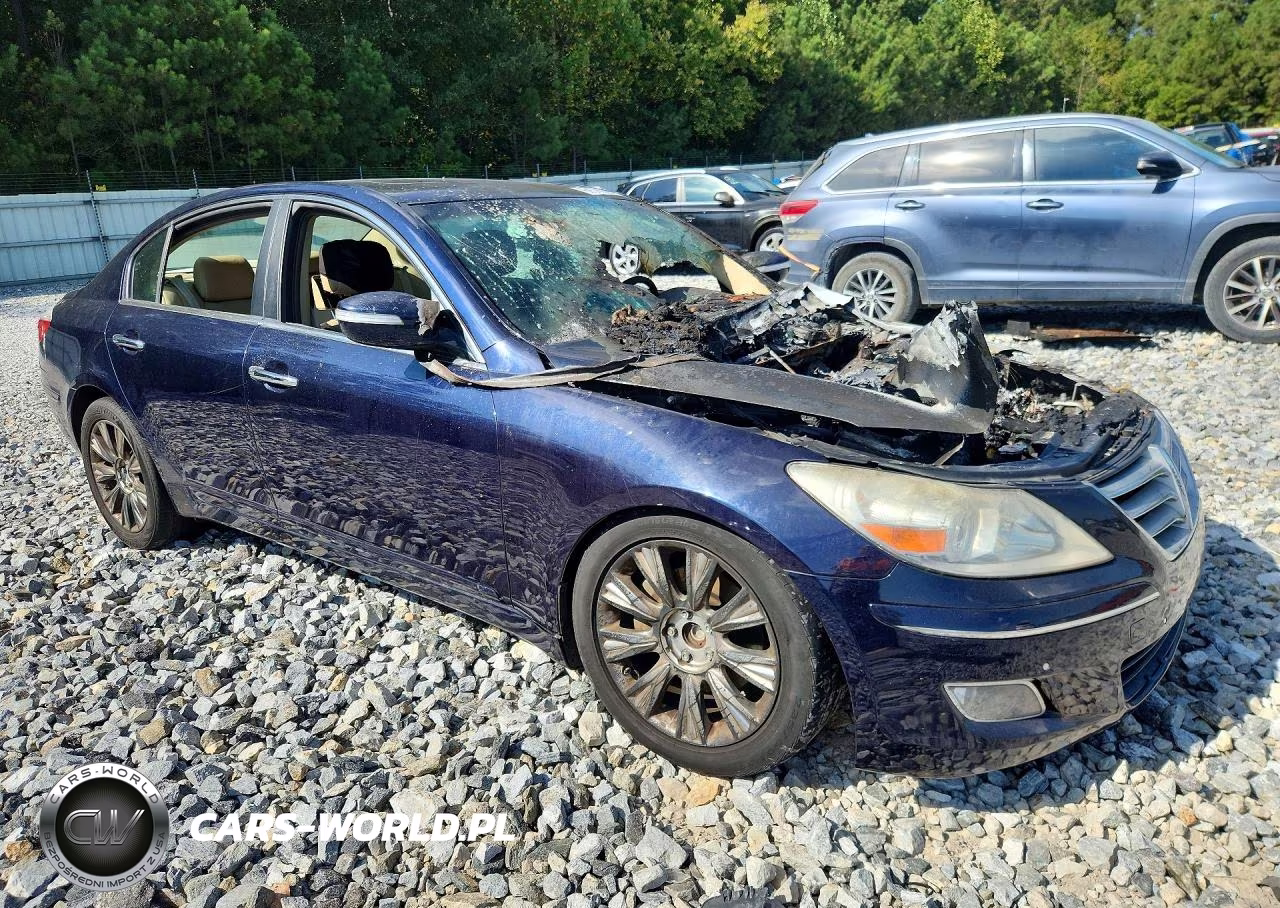 2009 Hyundai Genesis 3.8L VIN:KMHGC46E29U042459 - 4