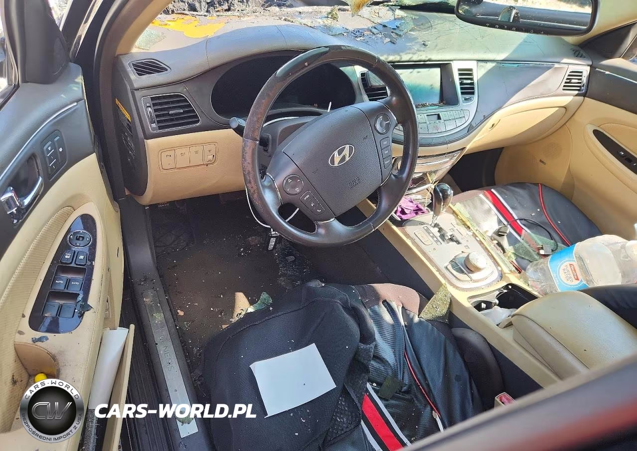 2009 Hyundai Genesis 3.8L VIN:KMHGC46E29U042459 - 8