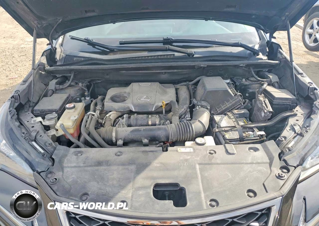 2019 Lexus Nx 300 F Sport VIN:JTJYARBZXK2151092 - 12