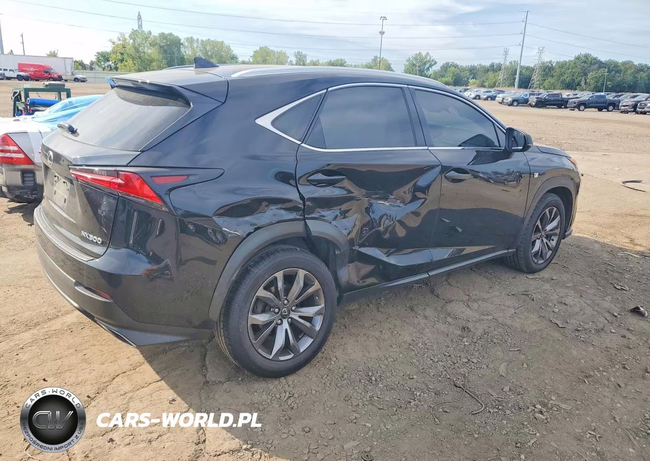 2019 Lexus Nx 300 F Sport VIN:JTJYARBZXK2151092 - 3