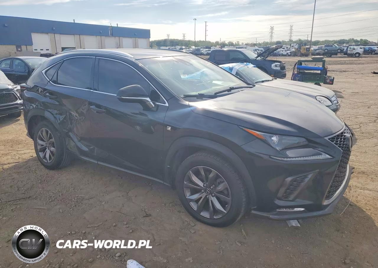 2019 Lexus Nx 300 F Sport VIN:JTJYARBZXK2151092 - 4