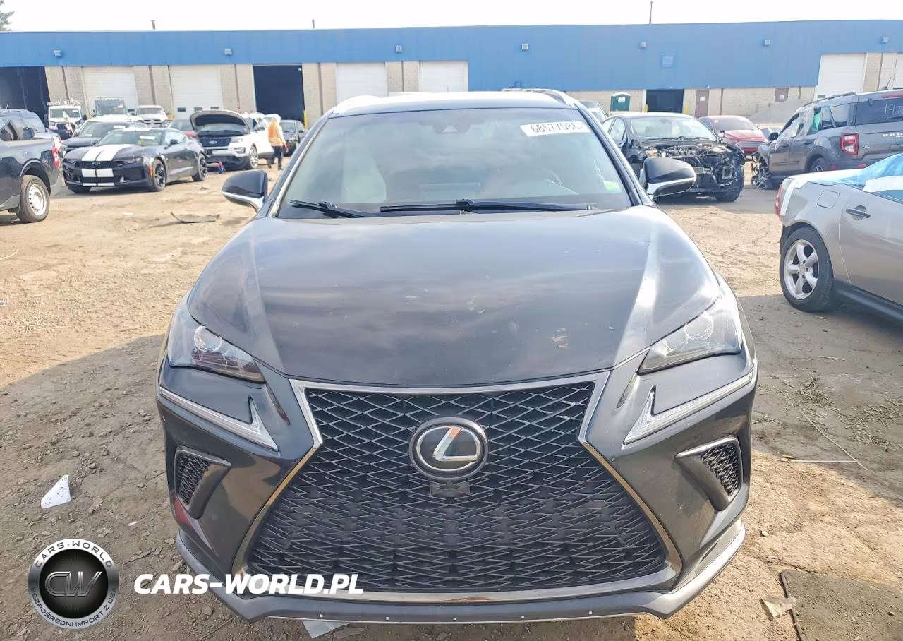 2019 Lexus Nx 300 F Sport VIN:JTJYARBZXK2151092 - 5