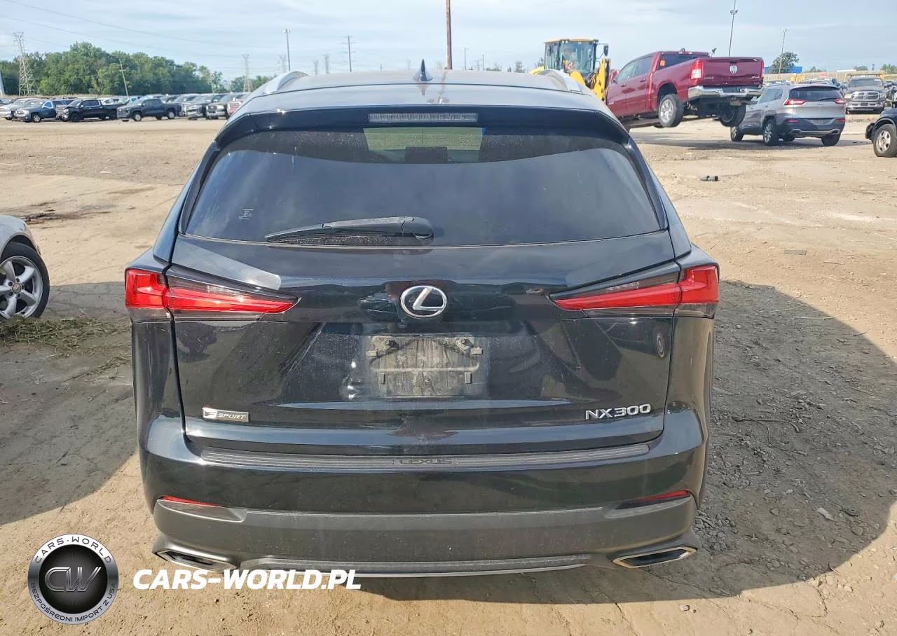 2019 Lexus Nx 300 F Sport VIN:JTJYARBZXK2151092 - 6