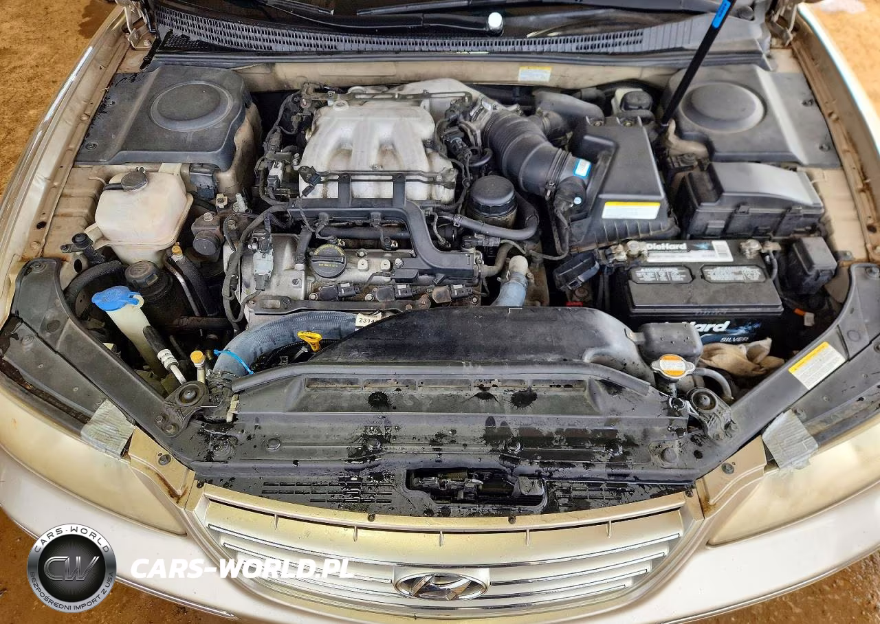 2006 Hyundai Azera Se VIN:KMHFC46F36A125271 - 11