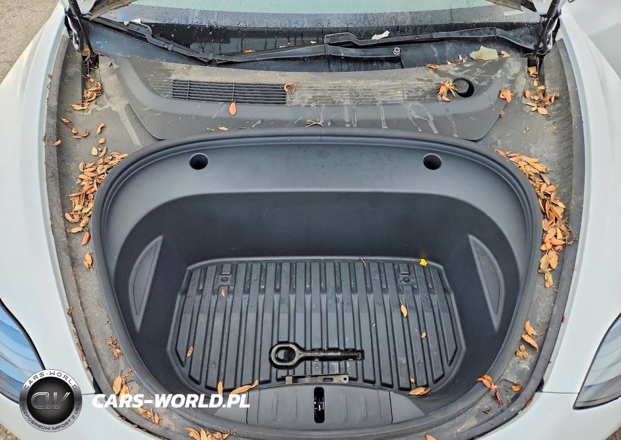 2021 Tesla Model 3 VIN:5YJ3E1EA8MF028836 - 11