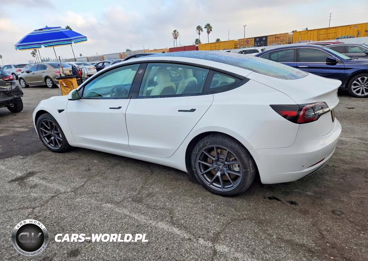 2021 Tesla Model 3 VIN:5YJ3E1EA8MF028836 - 2