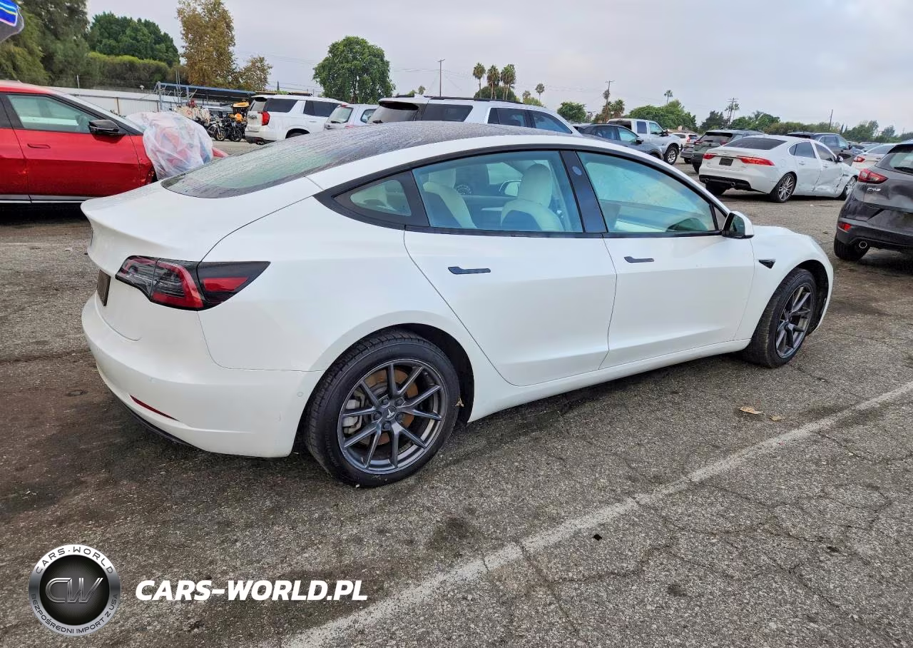 2021 Tesla Model 3 VIN:5YJ3E1EA8MF028836 - 3