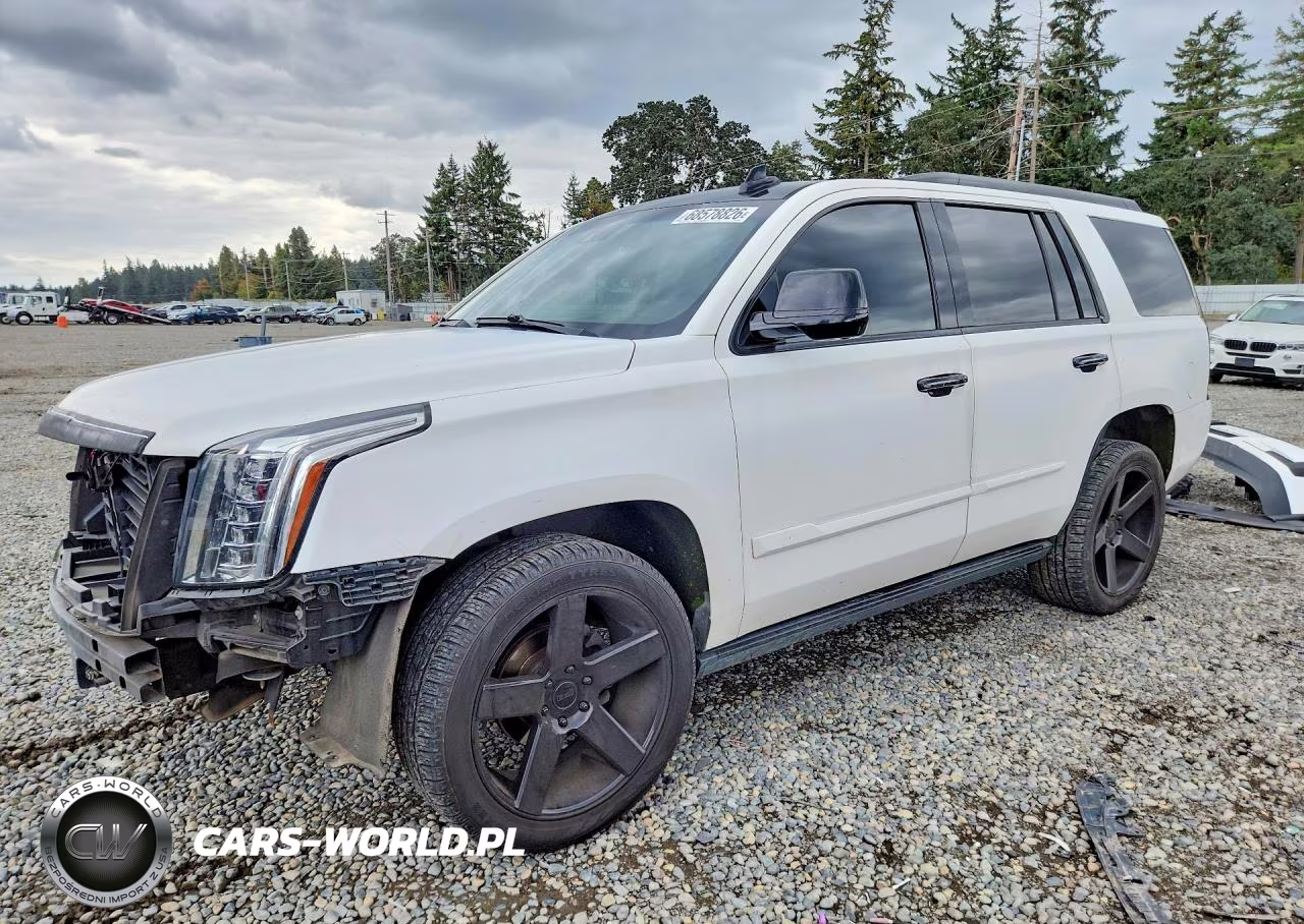 2016 Cadillac Escalade Premium VIN:1GYS4CKJ5GR140985 - 1
