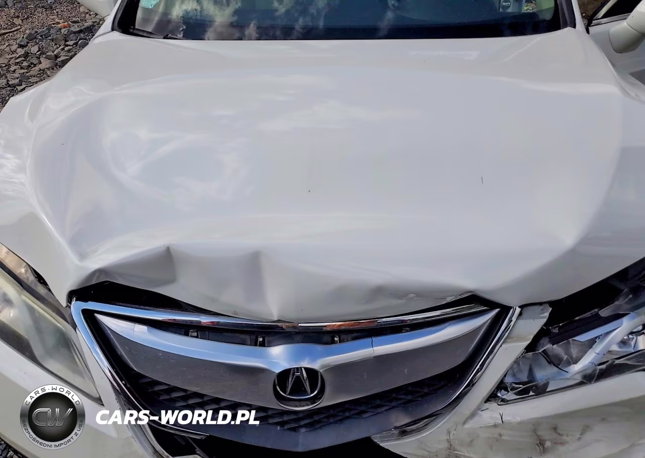 2013 Acura Rdx Technology VIN:5J8TB3H50DL011319 - 11