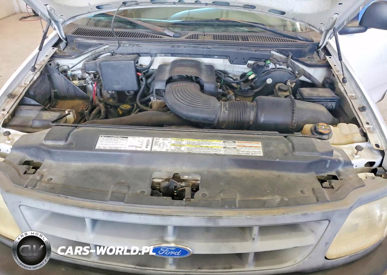 1997 Ford F150 VIN:1FTEF1760VND41073 - 11