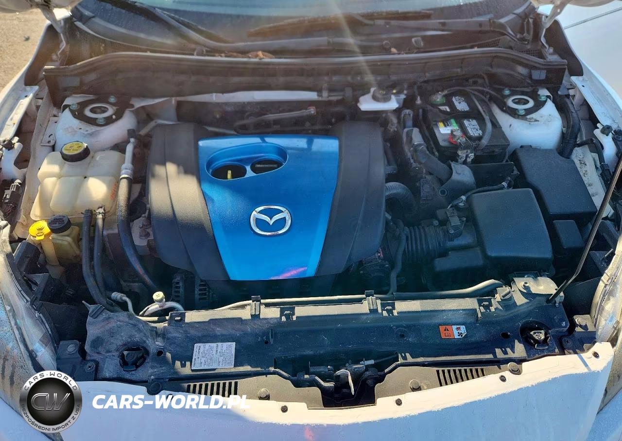 2013 Mazda 3 I VIN:JM1BL1U79D1780190 - 11