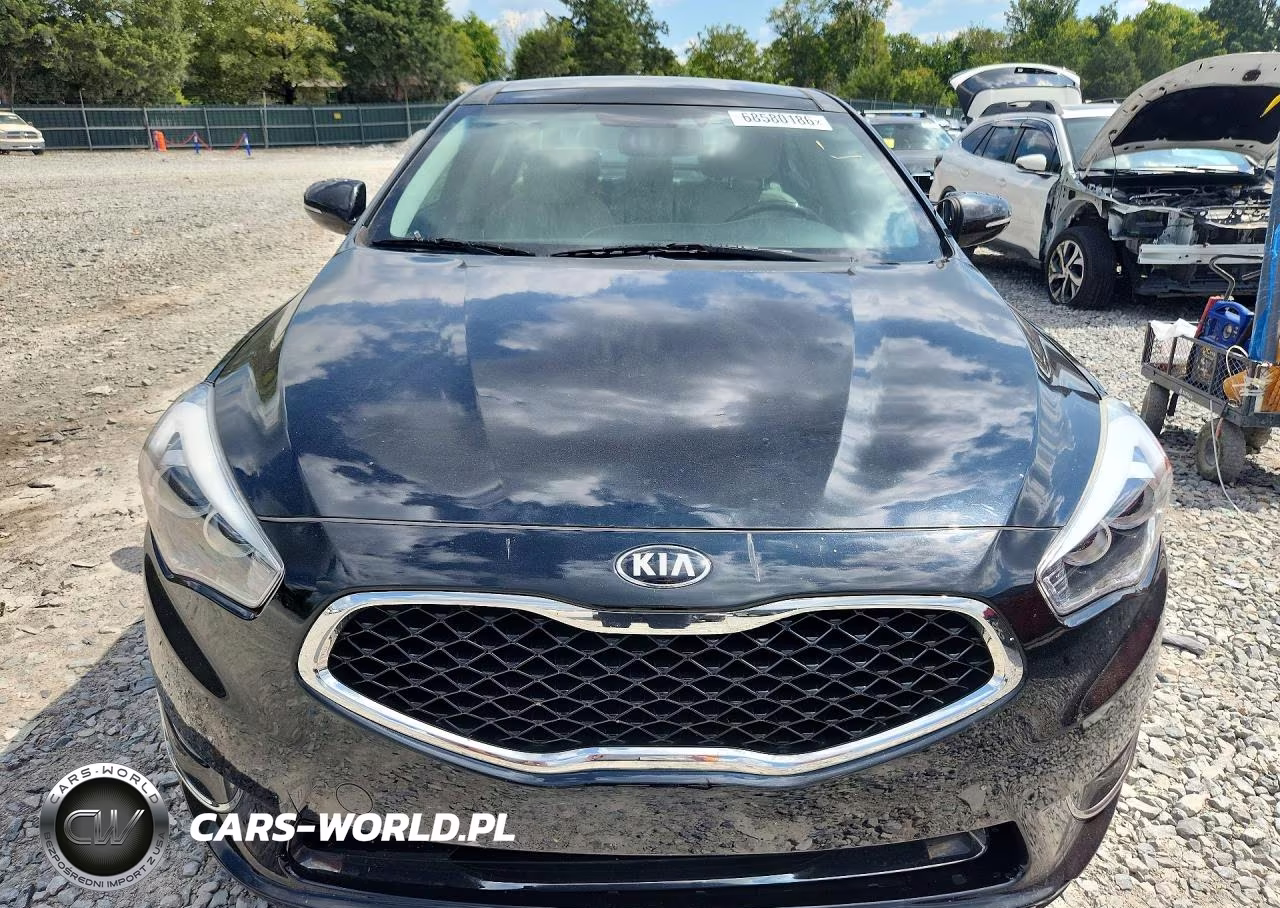 2014 Kia Cadenza Premium VIN:KNALN4D73E5137356 - 5