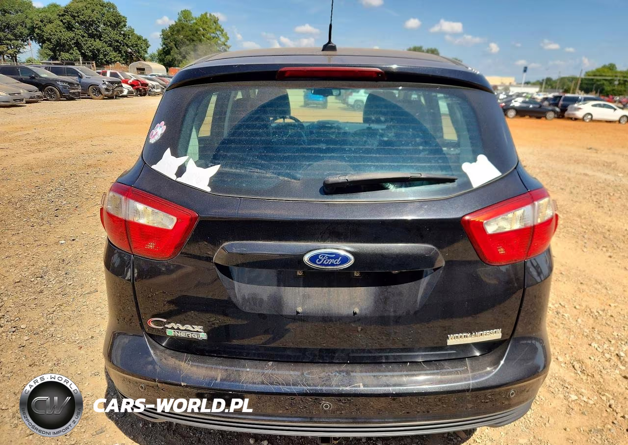 2013 Ford C-Max Premium VIN:1FADP5CU8DL549870 - 6