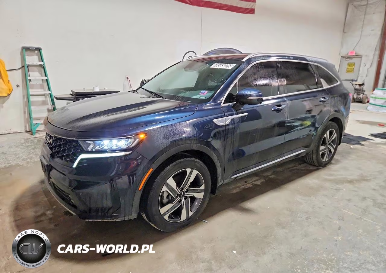 2022 Kia Sorento Ex VIN:KNDRHDLG6N5120623 - 1