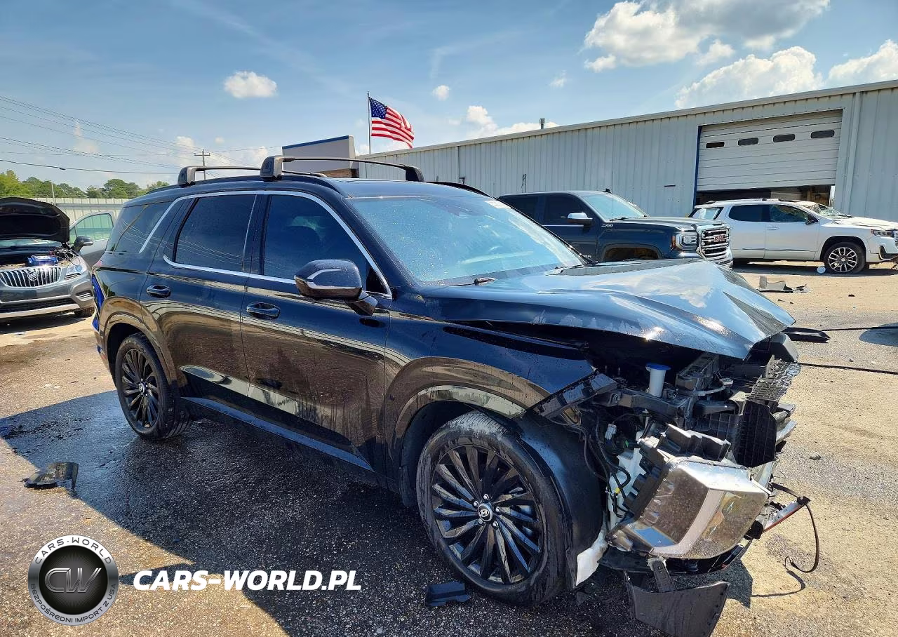 2024 Hyundai Palisade Calligraphy Night Edition VIN:KM8R7DGEXRU669552 - 4