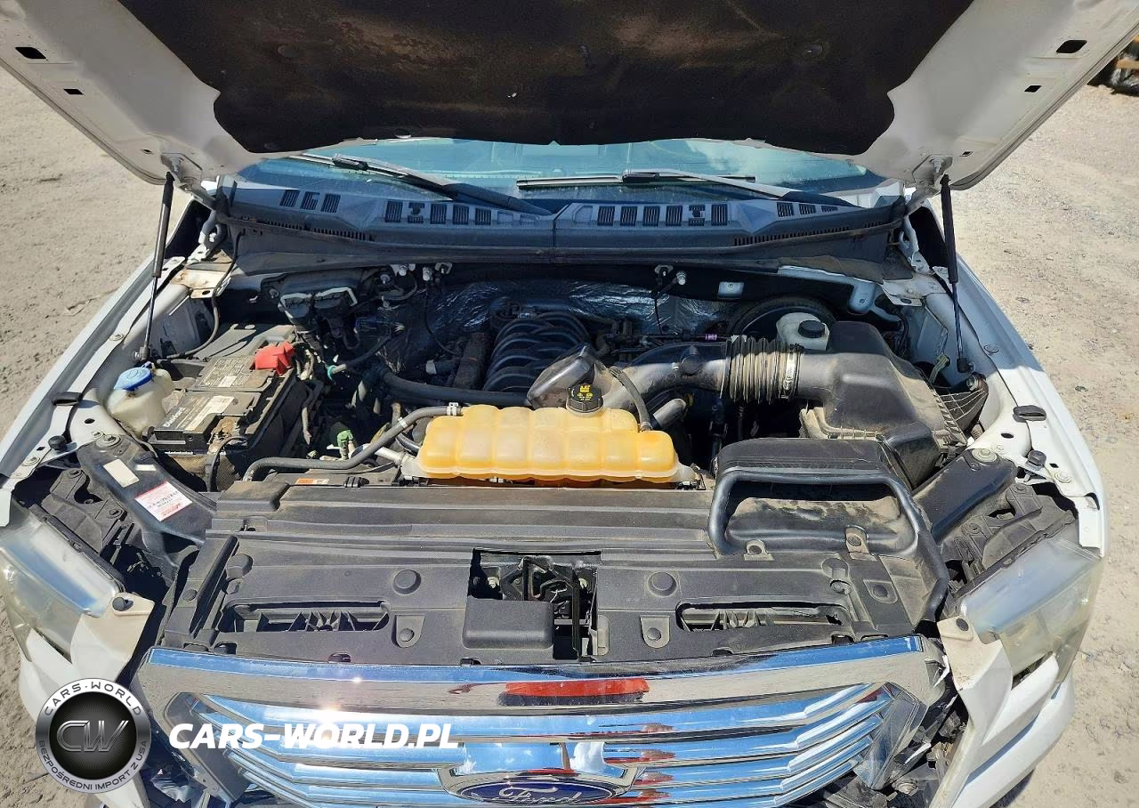 2017 Ford F150 Supercrew VIN:1FTEW1CF7HFA18952 - 11