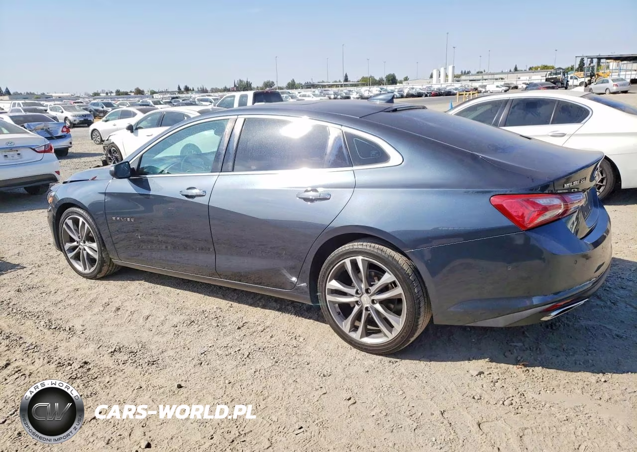 2019 Chevrolet Malibu Premier VIN:1G1ZE5SX9KF144557 - 2