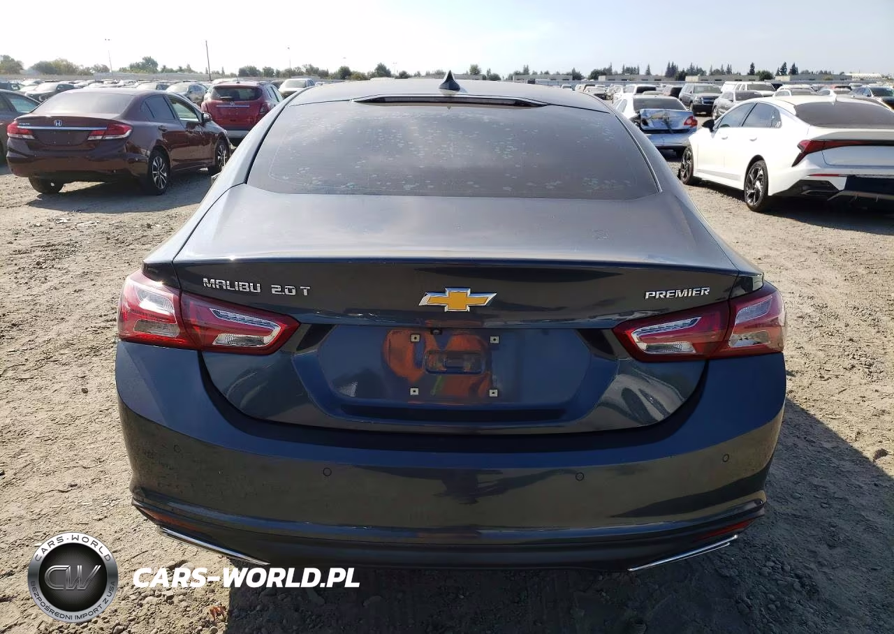 2019 Chevrolet Malibu Premier VIN:1G1ZE5SX9KF144557 - 6