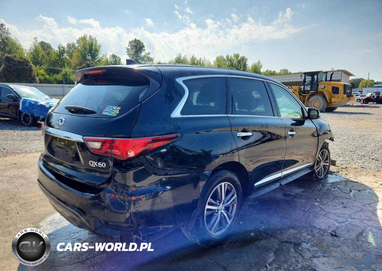 2019 Infiniti Qx60 Pure VIN:5N1DL0MN0KC525913 - 3