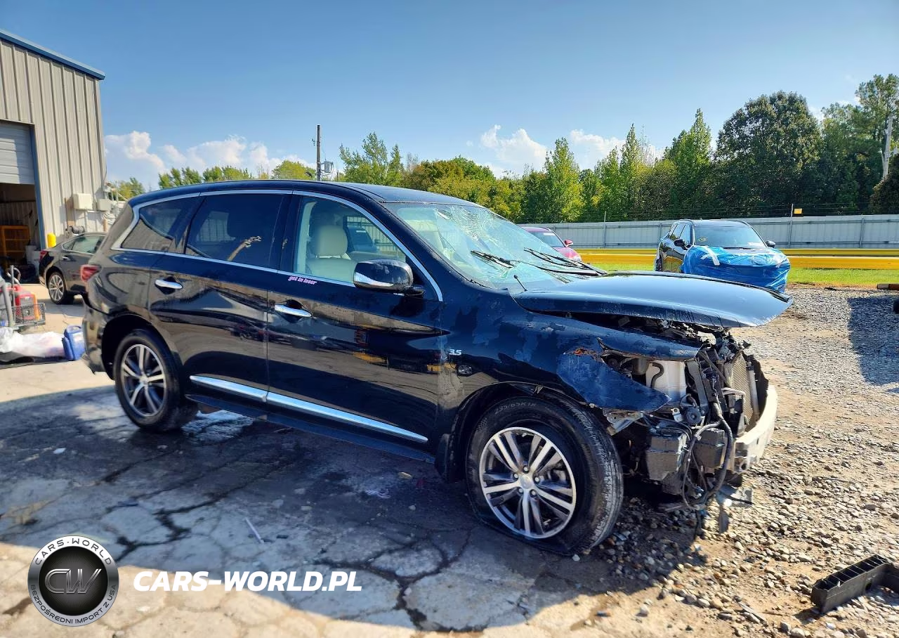 2019 Infiniti Qx60 Pure VIN:5N1DL0MN0KC525913 - 4