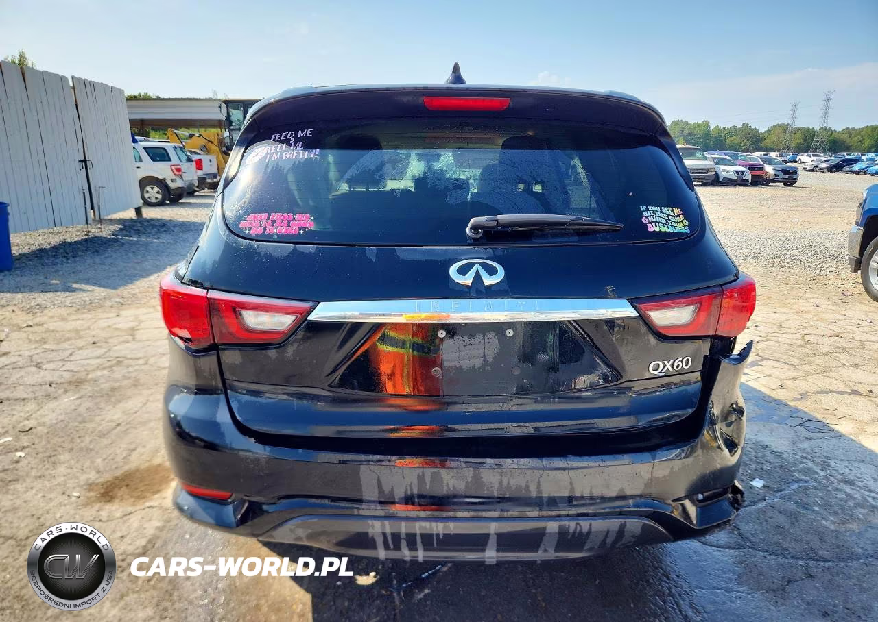 2019 Infiniti Qx60 Pure VIN:5N1DL0MN0KC525913 - 6