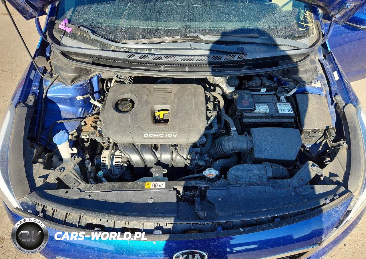 2017 Kia Forte Lx VIN:3KPFK4A71HE125146 - 11